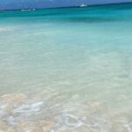 A Magical Day on Saona Island - Authentic Reviews and What Travelers Say