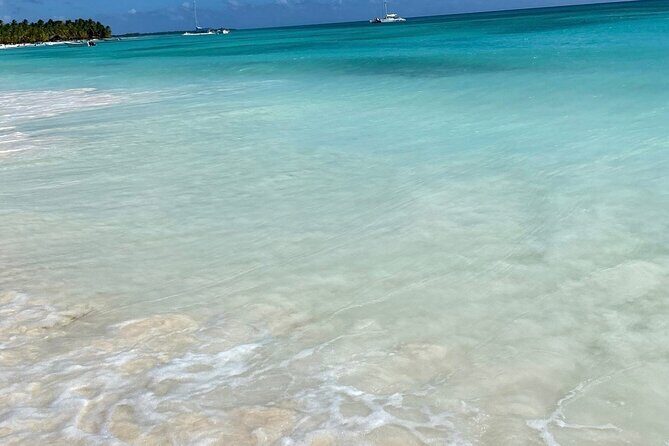 A Magical Day on Saona Island - Authentic Reviews and What Travelers Say