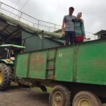 A taste of Aquiares - 2 hours Coffee Tour - Practical Details and Tips