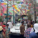 A Tropical Adventure and Discover Puerto Plata - Who Would Enjoy This Tour?