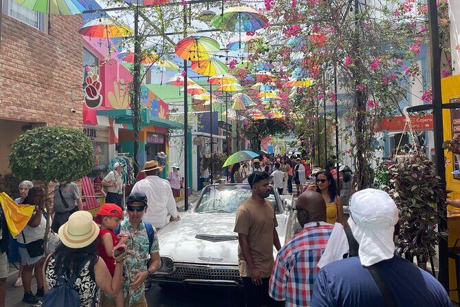 A Tropical Adventure and Discover Puerto Plata - Who Would Enjoy This Tour?