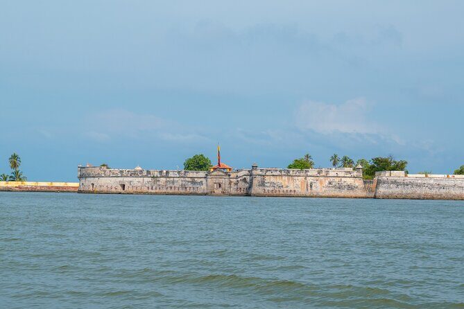 A whole day to the 5 Rosario Islands with snorkeling and plankton - Who Will Love This Tour?