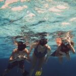 Acquarius Stingray City and Snorkel Tours - FAQ About Acquarius Stingray City and Snorkel Tours