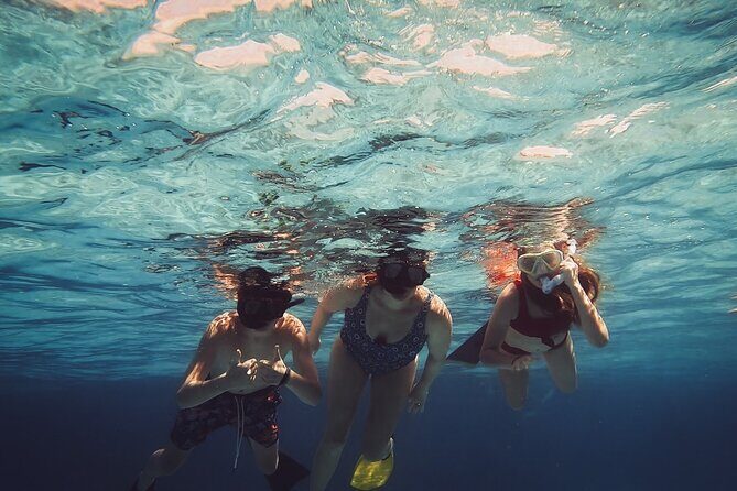 Acquarius Stingray City and Snorkel Tours - FAQ About Acquarius Stingray City and Snorkel Tours