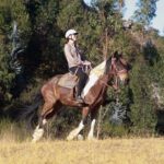 Adrenalin Mistyc Tour "full Service" - Final Thoughts