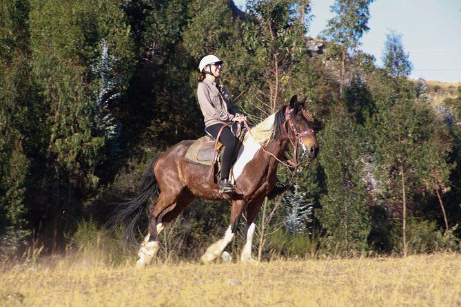 Adrenalin Mistyc Tour "full Service" - Final Thoughts