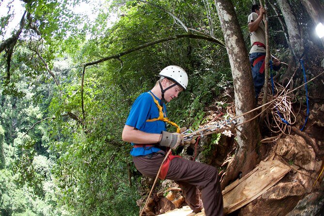 Adrenaline Pumping Black Hole Drop: Rappelling at Ian Anderson's Caves Branch - Reviewing the Experience: Authentic Perspectives
