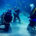 Advanced Open Water Diver - Bávaro - The Details Behind the Experience