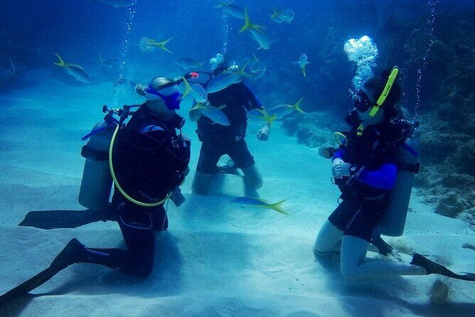 Advanced Open Water Diver - Bávaro - The Details Behind the Experience