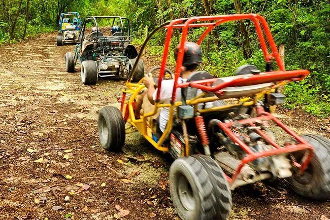Adventure Buggies at Macao Beach - Who Will Love This Tour?