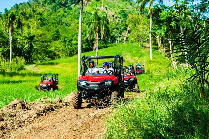 Adventure Bundle: Monkeyland, Ziplines & Buggies Punta Cana - The Sum Up