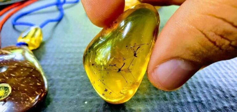 Adventure from Miches: Los Haitises, Caño Hondo, and Yanigua - The Rich Flavors of Dominican Cuisine