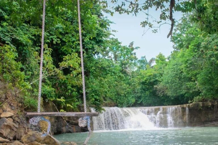 Adventure from Samaná: Los Haitises, Caño Hondo, and Yanigua - The Real Benefits and Some Considerations