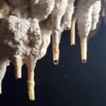 Adventure in Cave and the Guayaney Spring - Who Would Love This Tour?