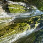 Adventure in Samaná : Lemon Leap and Lemon Jump. - A Deep Dive into the Experience