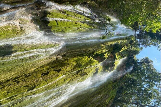 Adventure in Samaná : Lemon Leap and Lemon Jump. - A Deep Dive into the Experience