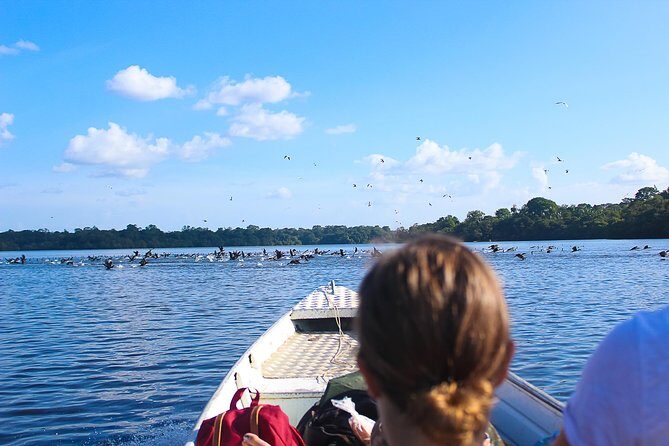 Adventure in the Amazon Jungle 5D/4N at Amazon Mamori lodge - A Detailed Look at the Amazon Mamori Lodge Adventure