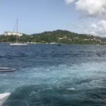 Adventure in the bay of samana and waterfall El limon from punta cana - Authentic Experiences and Real Traveler Insights
