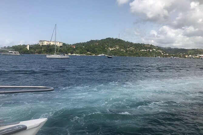 Adventure in the bay of samana and waterfall El limon from punta cana - Authentic Experiences and Real Traveler Insights