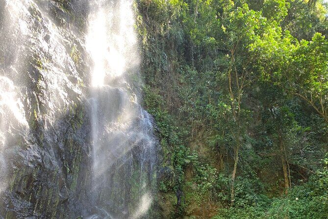 Adventure to a Hidden Waterfall, Private Tour - Explore Puerto Rico’s Hidden Waterfall with a Private Guide