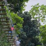 Adventure Trail Tour in the foothills of the National Rainforest - Final Thoughts