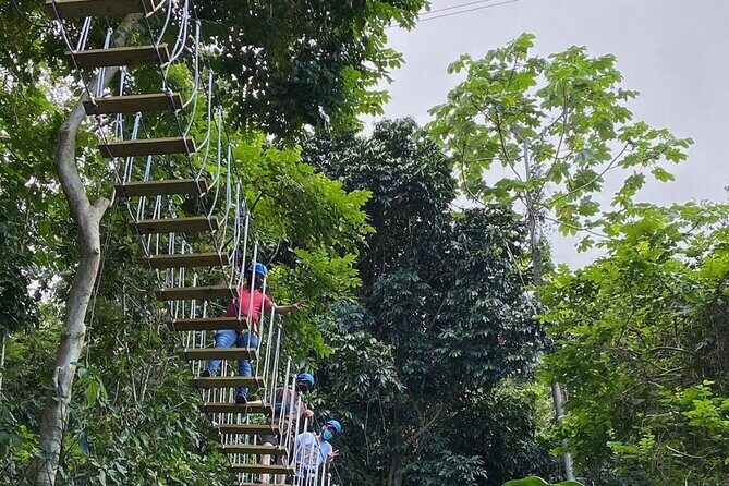 Adventure Trail Tour in the foothills of the National Rainforest - Final Thoughts