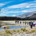 Adventure Trek and Navigation in Los Glaciares National Park - The Experience: What Makes It Special