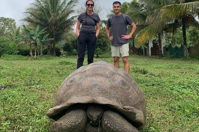 Adventure with Turtles, Lava Tunnels and Los Gemelos Craters - FAQ