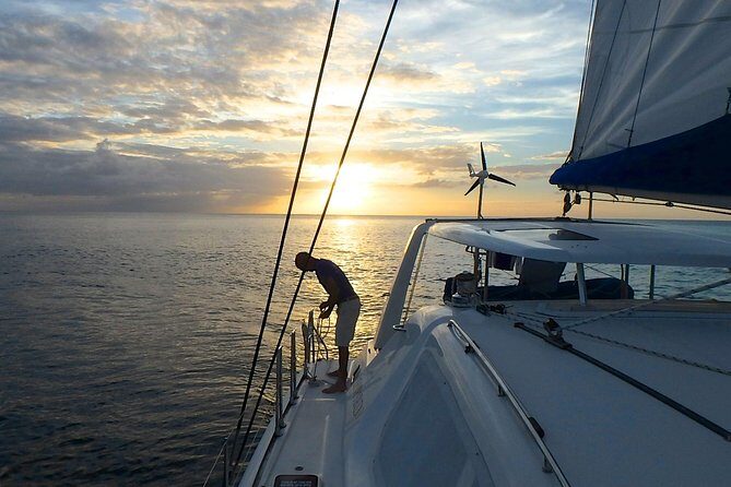Afternoon Luxury Catamaran Sailing and Charter Cruise from Bridgetown - The Sum Up: Who Is This Cruise For?
