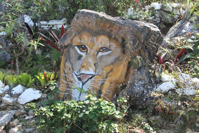 Ahhh Ras Natango Gallery and Garden Private Transfer - Transportation and Comfort