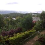 Ahhh Rasnatango Gallery and Garden - The Experience in Detail