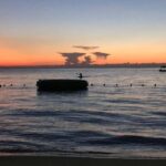 Airport Transfers - The Details: What to Expect from Your Transfer Experience