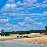 All-day quad bike tour in the small Lencois and Cabure - Authentic Encounters and Genuine Reviews