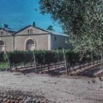 All Day, Small Group, Luxury Wine Tour with Gourmet Lunch - The Sum Up: Who Will Love This Tour?