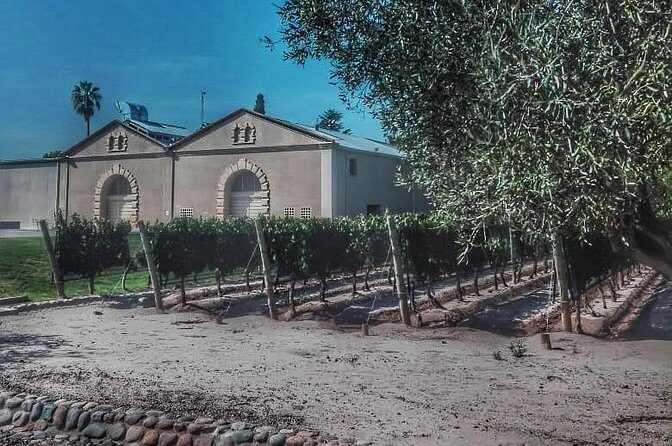 All Day, Small Group, Luxury Wine Tour with Gourmet Lunch - The Sum Up: Who Will Love This Tour?