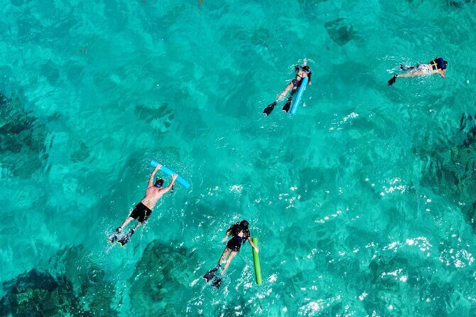 All-Inclusive Full-Day Private Boat Tour with Lunch & Drinks - Authentic Reviews and Guest Perspectives