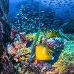 ALL INCLUSIVE Full Day snorkeling & sunset cruise with boat dogs - FAQ