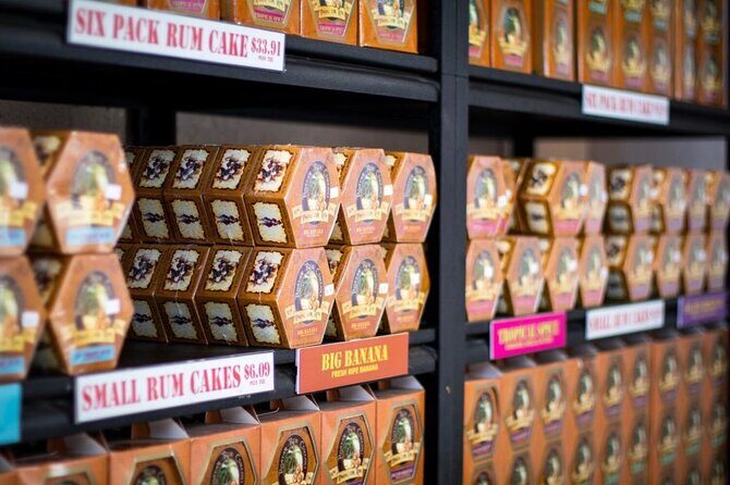 All inclusive Glass Bottom boat Wild life encounter and Beach - Practical Details and What to Expect