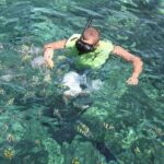 All Inclusive Half Day Sail and Snorkel - What Reviewers Say
