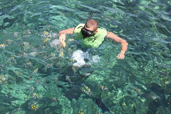 All Inclusive Half Day Sail and Snorkel - What Reviewers Say