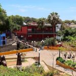 All-Inclusive Highlights of Lima Tour - Wrapping It Up