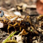 All-Inclusive Jungle Night Tour - Who Will Love This Tour?