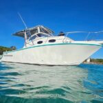 All-Inclusive: Mako 29ft Boat Tour to Icacos Palomino & Palominito - An In-Depth Look at Your Puerto Rican Boat Adventure