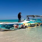 All Inclusive Pig Encounter, Snorkeling, Turtles, Lunch & Beach - Practical Details: Transportation, Timing, and Group Size