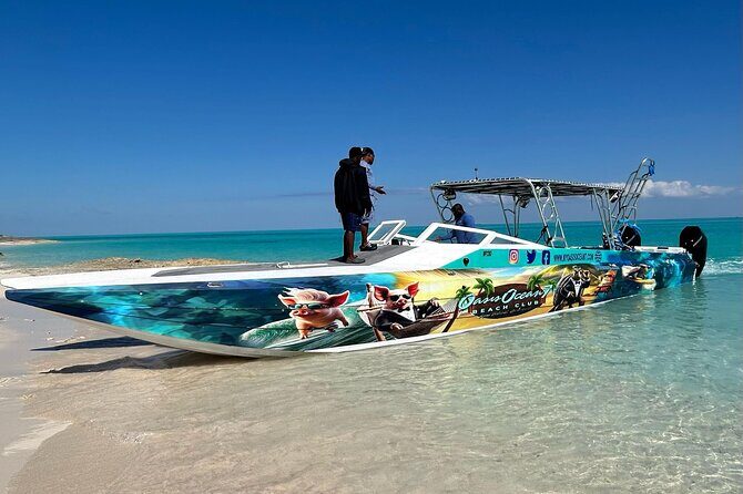 All Inclusive Pig Encounter, Snorkeling, Turtles, Lunch & Beach - Practical Details: Transportation, Timing, and Group Size