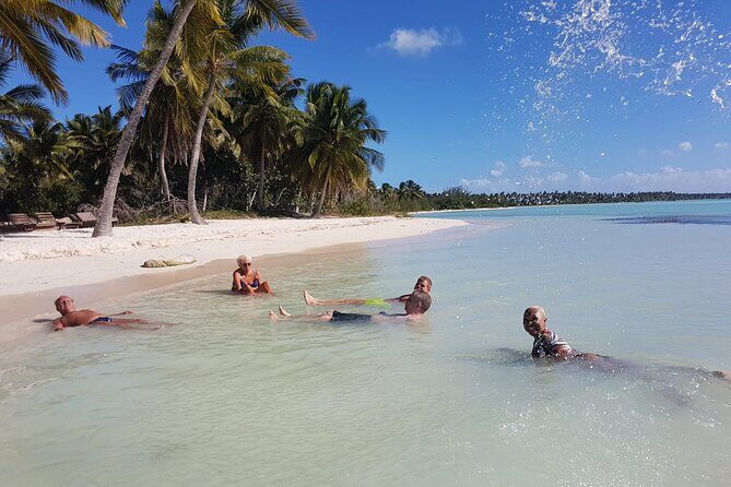 All Inclusive Saona Private Boat Tour from 165 USD p/P - The Experience in Detail