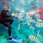 All Resorts: Ricks Cafe Sunset Catamaran Cruise - FAQ