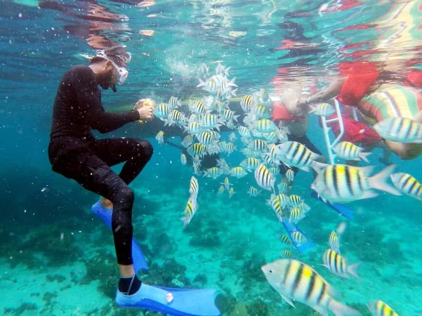 All Resorts: Ricks Cafe Sunset Catamaran Cruise