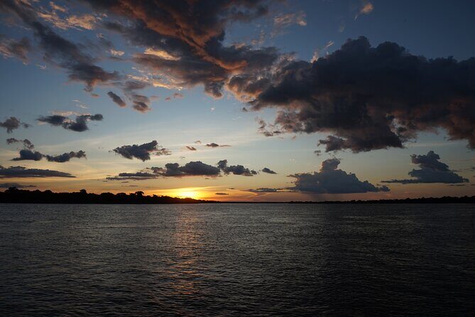 Alligators Night Watch - The Sum Up