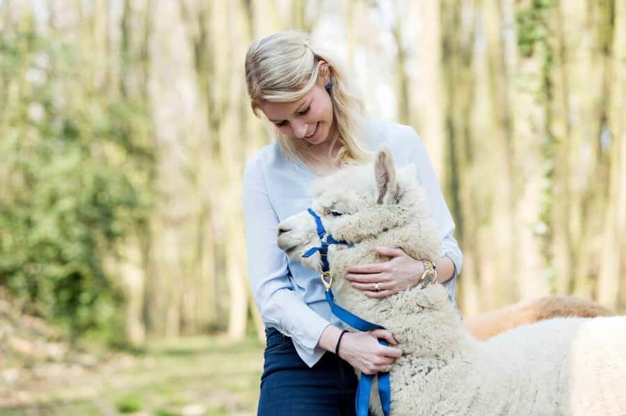 Alpaca therapy and artisanal creativity - A Closer Look at the Alpaca Therapy and Artisanship Tour